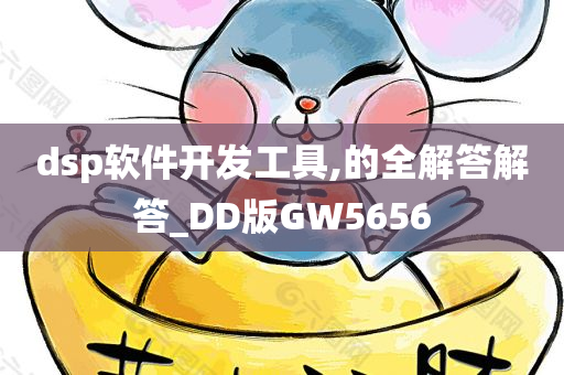 dsp软件开发工具,的全解答解答_DD版GW5656