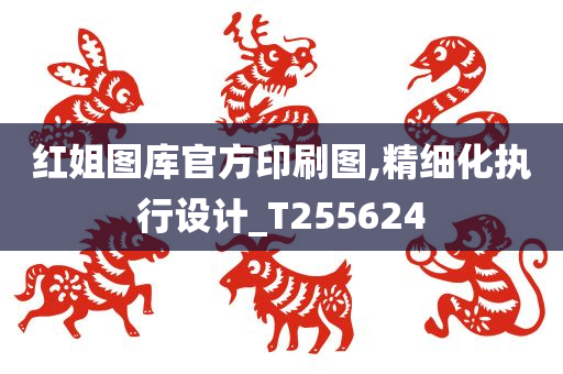 红姐图库官方印刷图,精细化执行设计_T255624