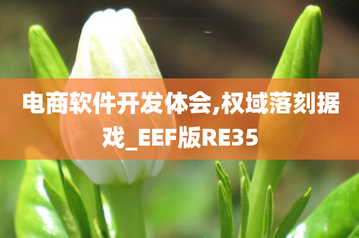 电商软件开发体会,权域落刻据戏_EEF版RE35