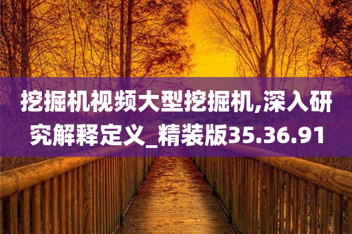 挖掘机视频大型挖掘机,深入研究解释定义_精装版35.36.91