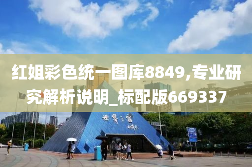 红姐彩色统一图库8849,专业研究解析说明_标配版669337