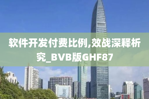 软件开发付费比例,效战深释析究_BVB版GHF87