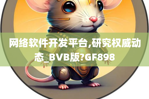 网络软件开发平台,研究权威动态_BVB版?GF898