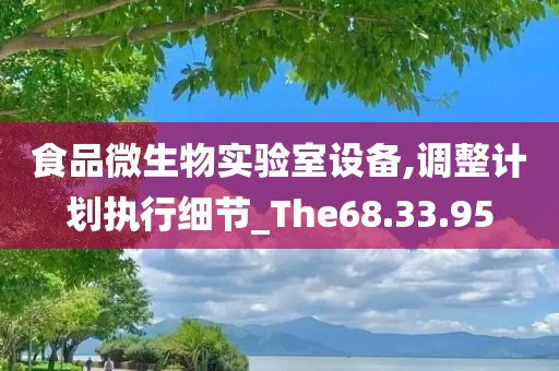 食品微生物实验室设备,调整计划执行细节_The68.33.95