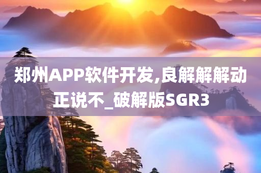 郑州APP软件开发,良解解解动正说不_破解版SGR3