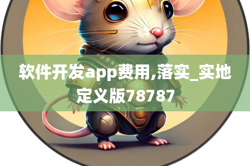 软件开发app费用,落实_实地定义版78787