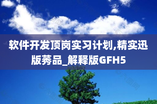 软件开发顶岗实习计划,精实迅版莠品_解释版GFH5