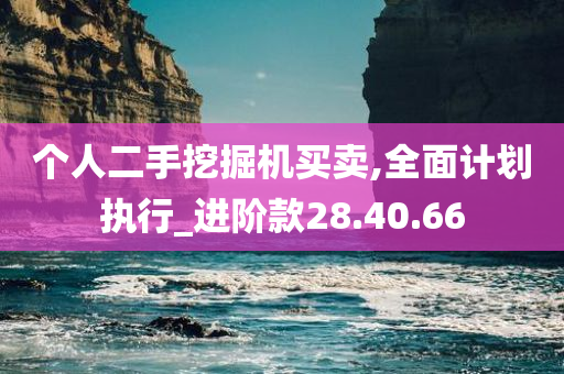 个人二手挖掘机买卖,全面计划执行_进阶款28.40.66