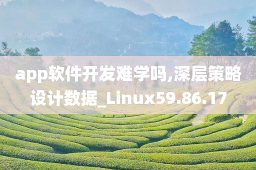 app软件开发难学吗,深层策略设计数据_Linux59.86.17