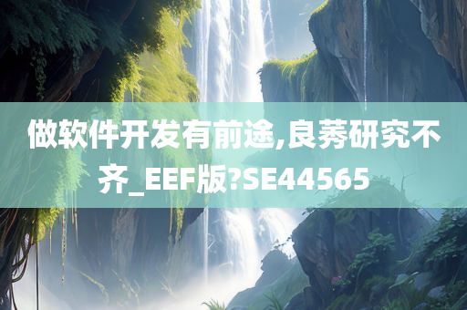 做软件开发有前途,良莠研究不齐_EEF版?SE44565