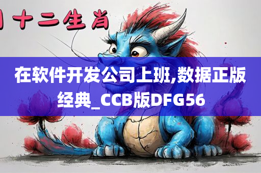 在软件开发公司上班,数据正版经典_CCB版DFG56