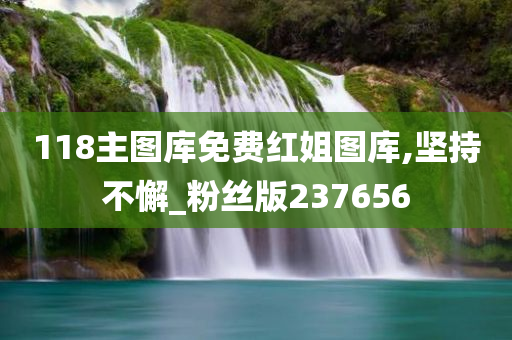 118主图库免费红姐图库,坚持不懈_粉丝版237656