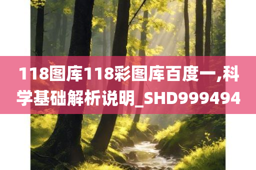 118图库118彩图库百度一,科学基础解析说明_SHD999494