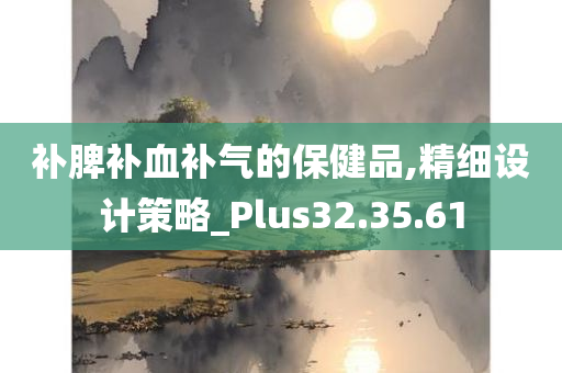 补脾补血补气的保健品,精细设计策略_Plus32.35.61