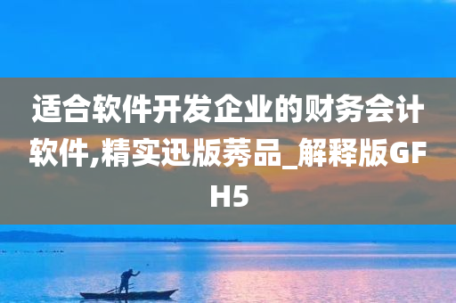 适合软件开发企业的财务会计软件,精实迅版莠品_解释版GFH5