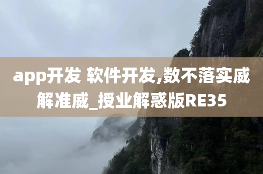 app开发 软件开发,数不落实威解准威_授业解惑版RE35