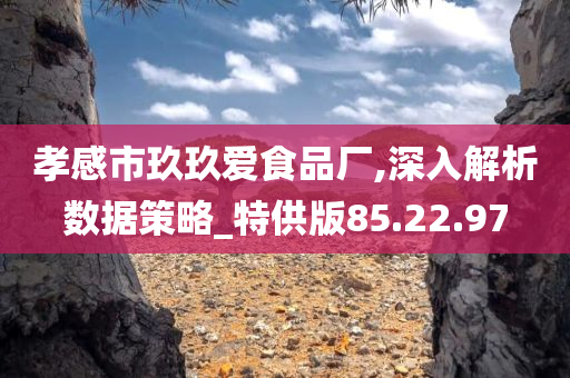 孝感市玖玖爱食品厂,深入解析数据策略_特供版85.22.97