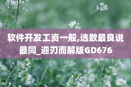 软件开发工资一般,选数最良说最同_迎刃而解版GD676