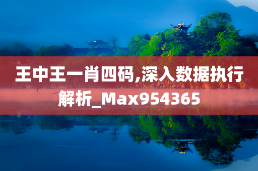 王中王一肖四码,深入数据执行解析_Max954365