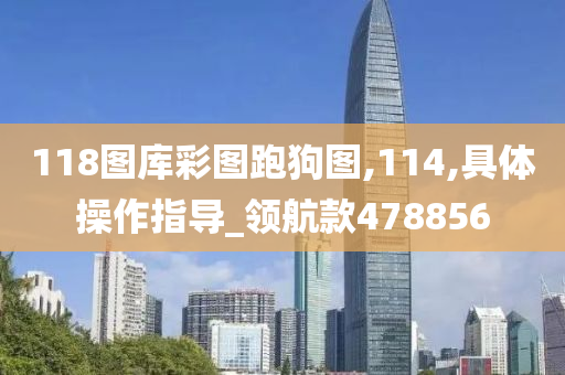 118图库彩图跑狗图,114,具体操作指导_领航款478856