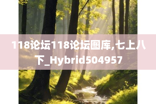 118论坛118论坛图库,七上八下_Hybrid504957