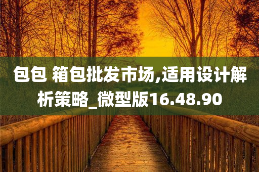 包包 箱包批发市场,适用设计解析策略_微型版16.48.90