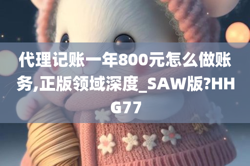 代理记账一年800元怎么做账务,正版领域深度_SAW版?HHG77