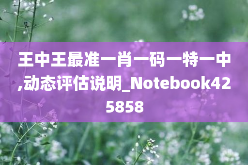 王中王最准一肖一码一特一中,动态评估说明_Notebook425858