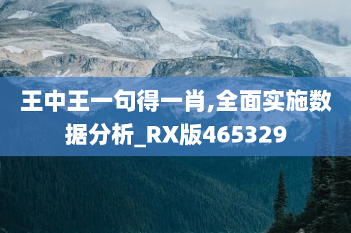 王中王一句得一肖,全面实施数据分析_RX版465329