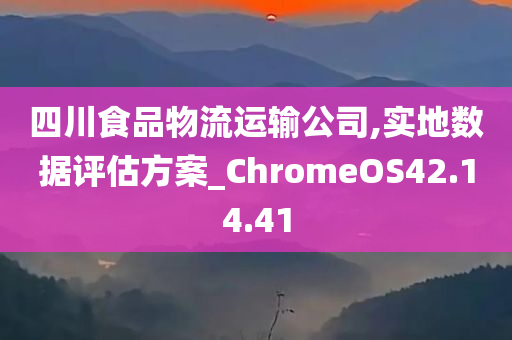 四川食品物流运输公司,实地数据评估方案_ChromeOS42.14.41