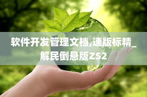 软件开发管理文档,速版标精_解民倒悬版ZS2