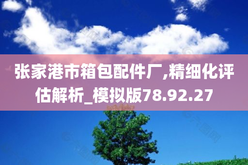 张家港市箱包配件厂,精细化评估解析_模拟版78.92.27