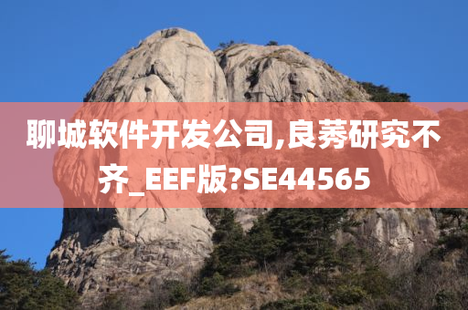 聊城软件开发公司,良莠研究不齐_EEF版?SE44565