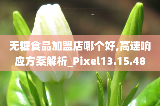 无糖食品加盟店哪个好,高速响应方案解析_Pixel13.15.48