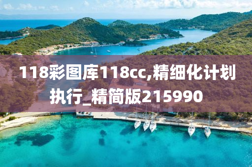 118彩图库118cc,精细化计划执行_精简版215990