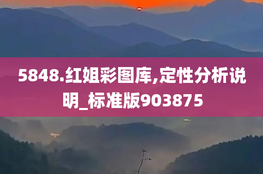 5848.红姐彩图库,定性分析说明_标准版903875