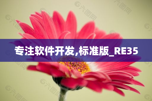 专注软件开发,标准版_RE35