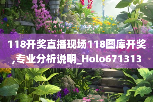 118开奖直播现场118图库开奖,专业分析说明_Holo671313