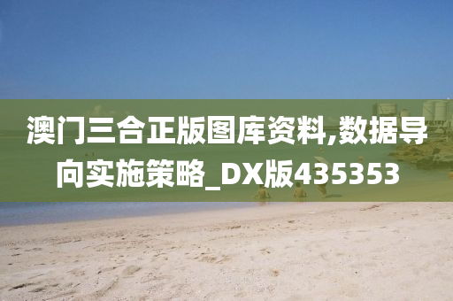 澳门三合正版图库资料,数据导向实施策略_DX版435353