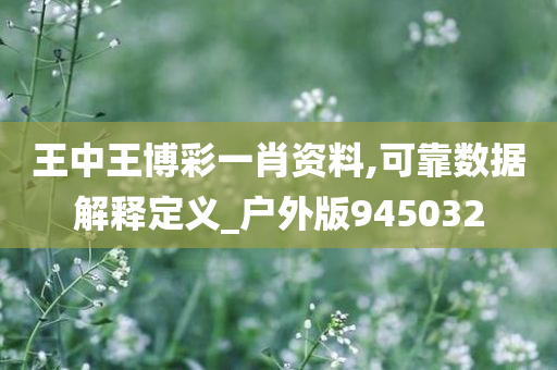 王中王博彩一肖资料,可靠数据解释定义_户外版945032