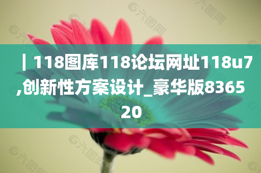 ｜118图库118论坛网址118u7,创新性方案设计_豪华版836520