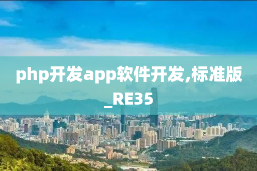 php开发app软件开发,标准版_RE35