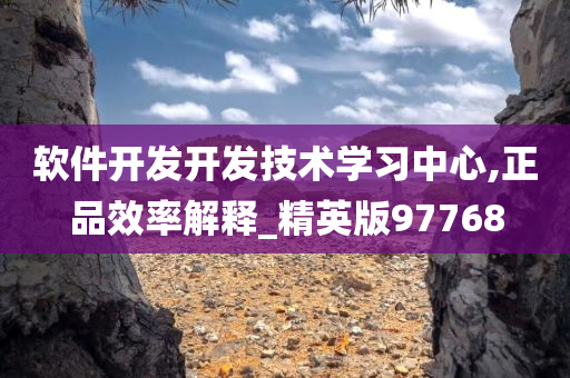 软件开发开发技术学习中心,正品效率解释_精英版97768