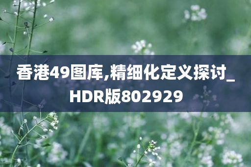 香港49图库,精细化定义探讨_HDR版802929