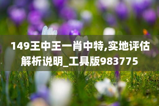 149王中王一肖中特,实地评估解析说明_工具版983775