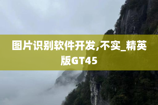 图片识别软件开发,不实_精英版GT45