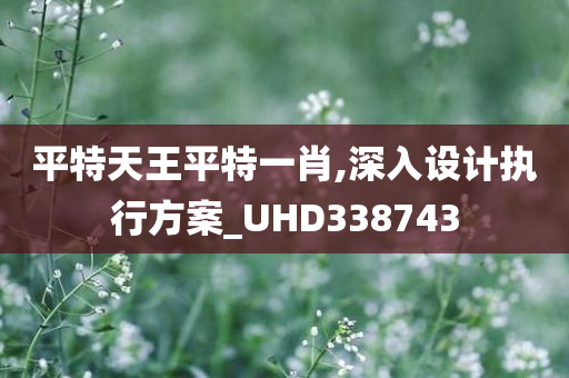 平特天王平特一肖,深入设计执行方案_UHD338743