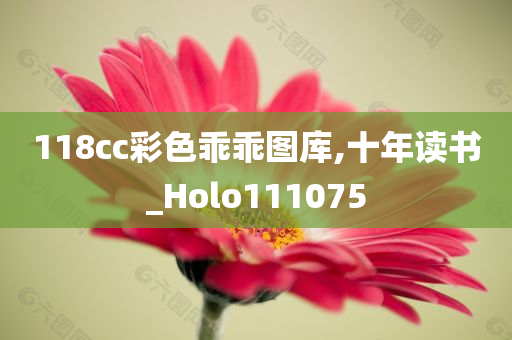 118cc彩色乖乖图库,十年读书_Holo111075