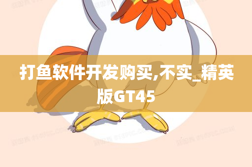 打鱼软件开发购买,不实_精英版GT45