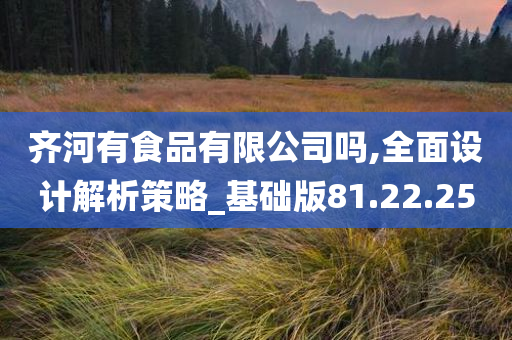 齐河有食品有限公司吗,全面设计解析策略_基础版81.22.25